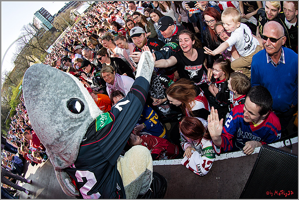 Koelner Haie Abschussparty, 26.03.2017